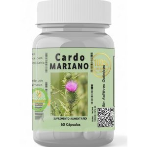 Cardo Mariano - 60 Caps